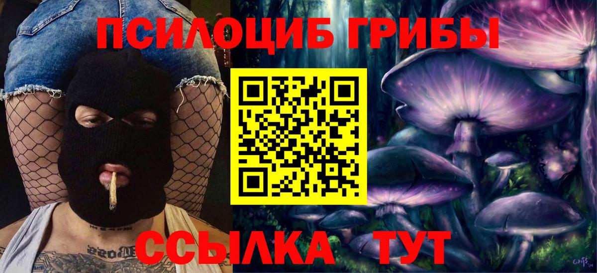 Галлюциногенные грибы Psilocybine cubensis  Вход с VPN  Луховицы 